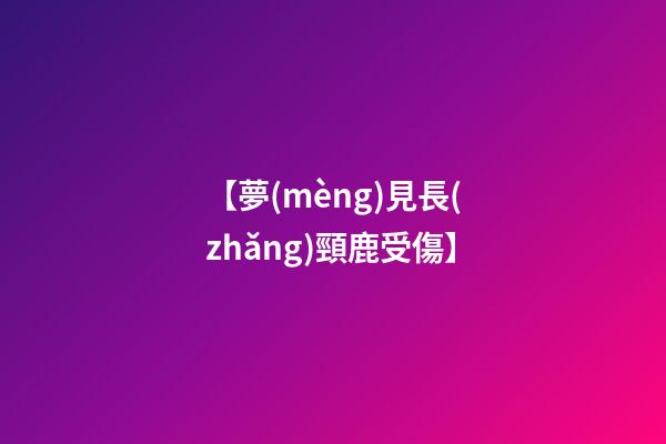 【夢(mèng)見長(zhǎng)頸鹿受傷】