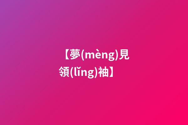 【夢(mèng)見領(lǐng)袖】