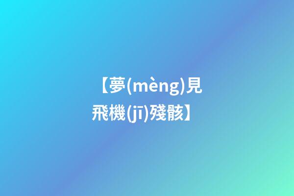 【夢(mèng)見飛機(jī)殘骸】