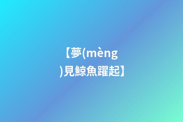 【夢(mèng)見鯨魚躍起】