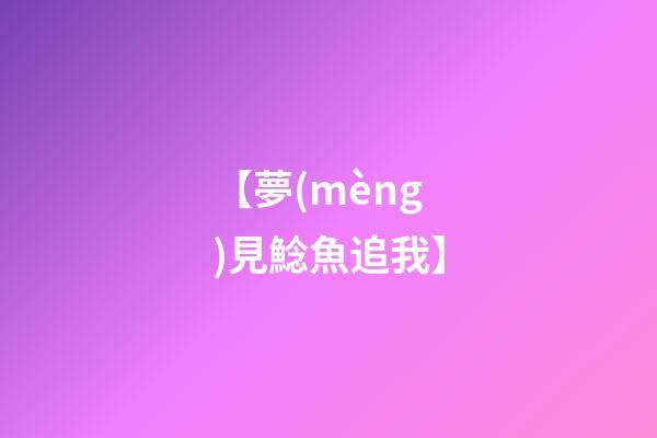 【夢(mèng)見鯰魚追我】