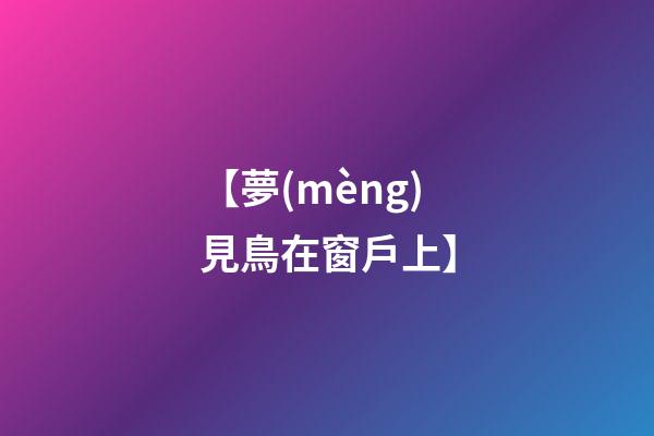 【夢(mèng)見鳥在窗戶上】