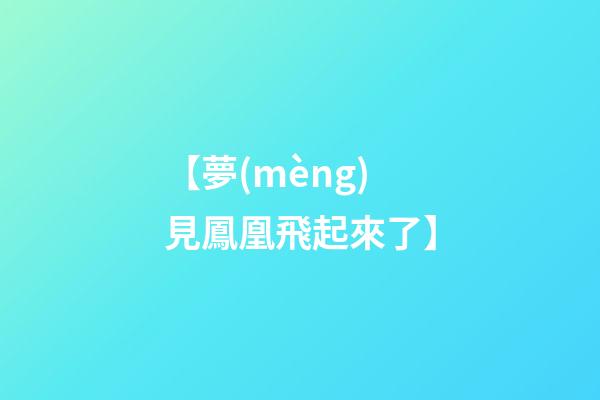 【夢(mèng)見鳳凰飛起來了】