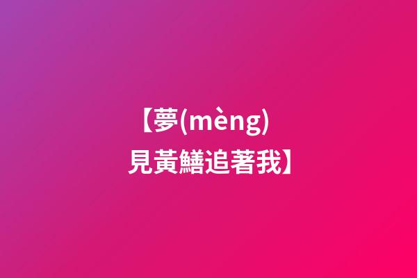 【夢(mèng)見黃鱔追著我】