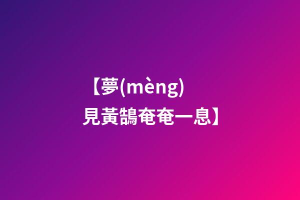 【夢(mèng)見黃鵠奄奄一息】