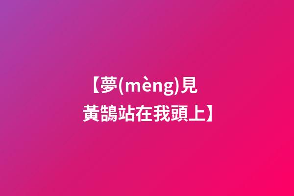 【夢(mèng)見黃鵠站在我頭上】