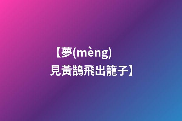 【夢(mèng)見黃鵠飛出籠子】