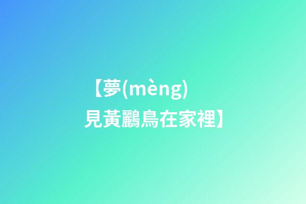 【夢(mèng)見黃鸝鳥在家裡】