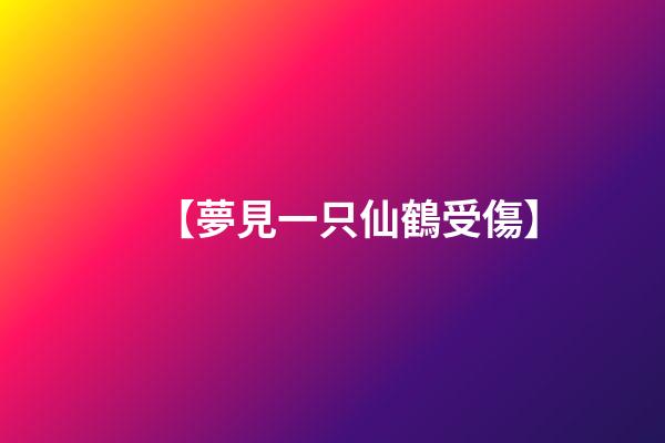 【夢見一只仙鶴受傷】