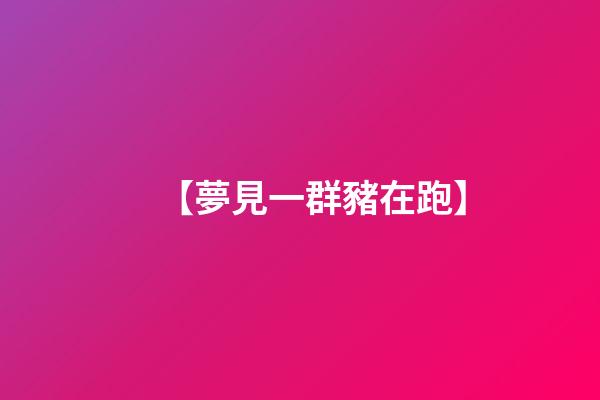【夢見一群豬在跑】