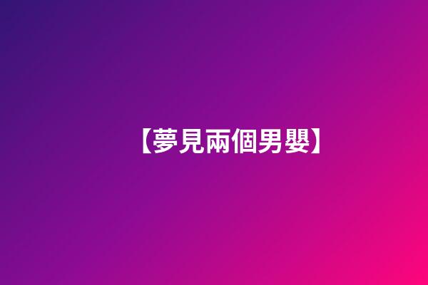 【夢見兩個男嬰】