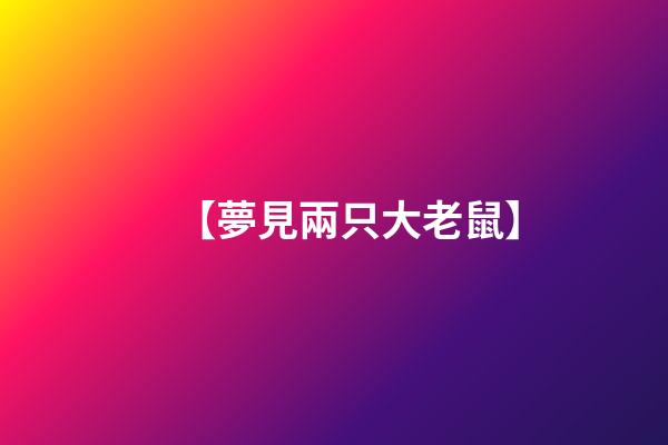 【夢見兩只大老鼠】