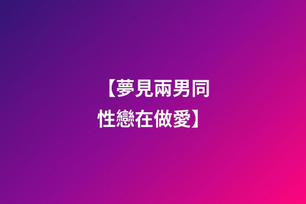 【夢見兩男同性戀在做愛】