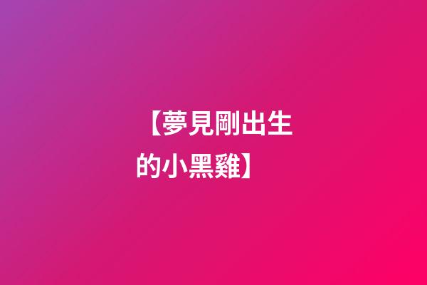 【夢見剛出生的小黑雞】