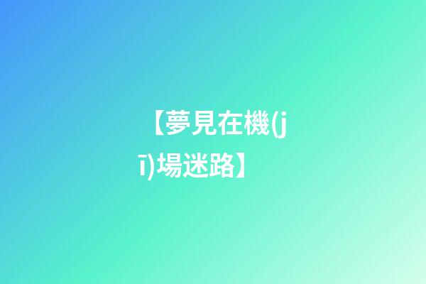 【夢見在機(jī)場迷路】