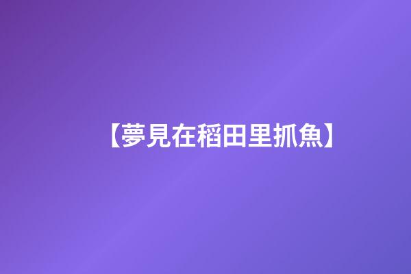 【夢見在稻田里抓魚】