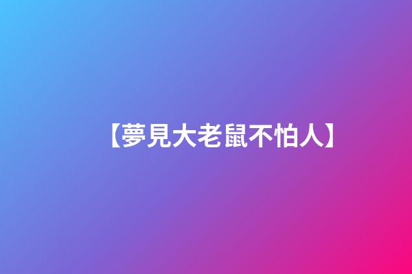 【夢見大老鼠不怕人】