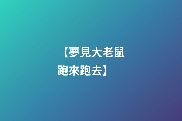 【夢見大老鼠跑來跑去】