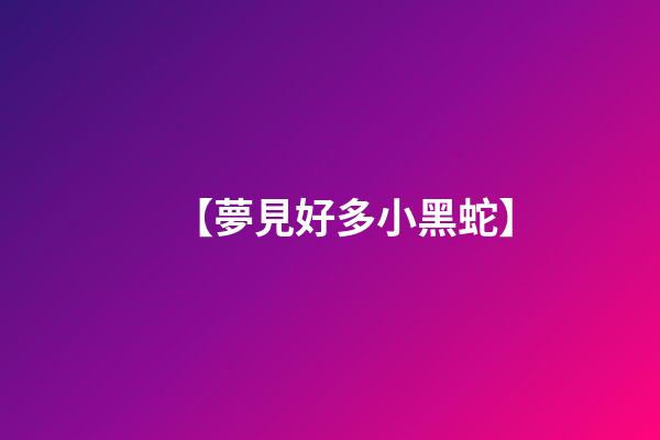【夢見好多小黑蛇】