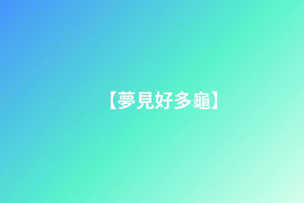 【夢見好多龜】