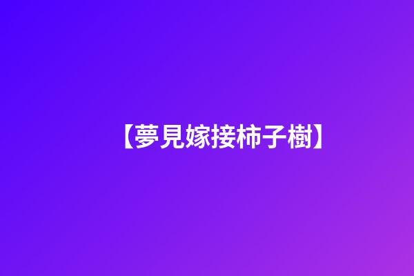 【夢見嫁接柿子樹】