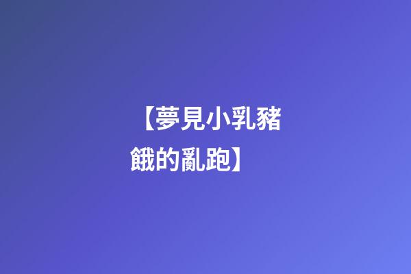 【夢見小乳豬餓的亂跑】