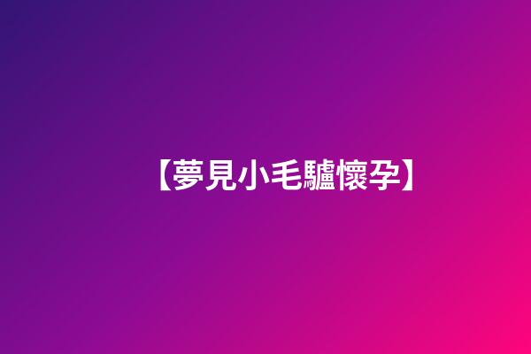 【夢見小毛驢懷孕】