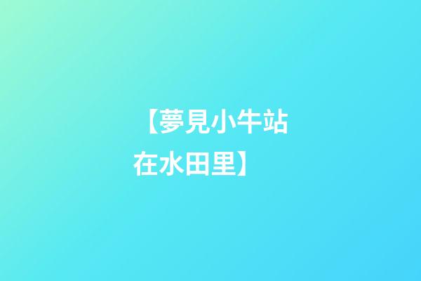 【夢見小牛站在水田里】