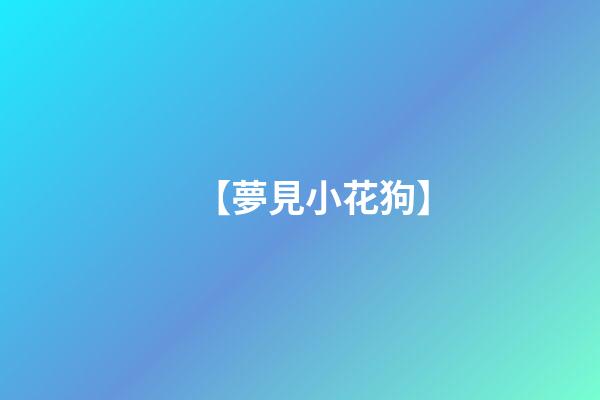 【夢見小花狗】
