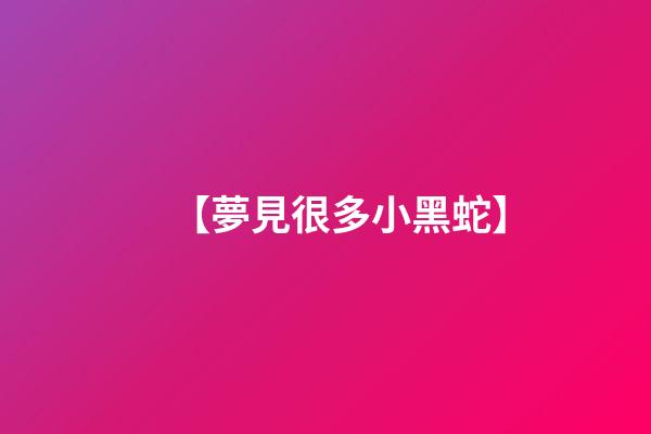 【夢見很多小黑蛇】