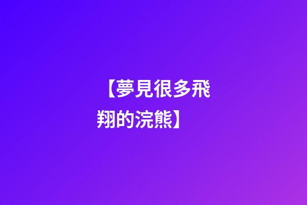 【夢見很多飛翔的浣熊】