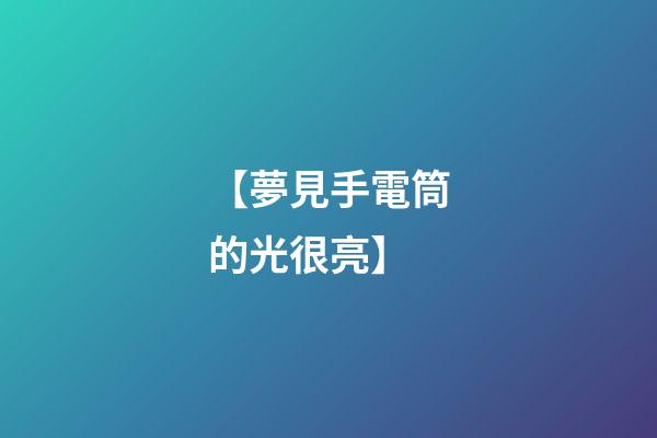 【夢見手電筒的光很亮】