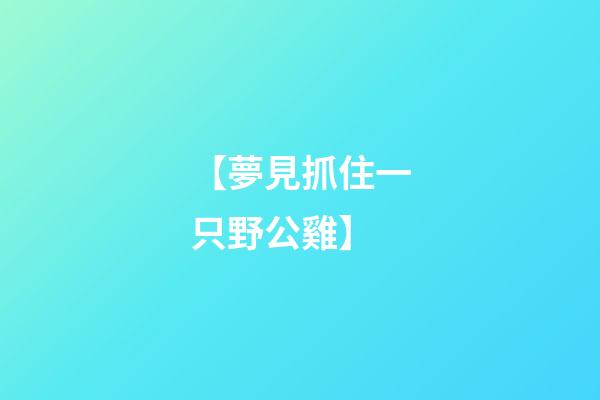 【夢見抓住一只野公雞】