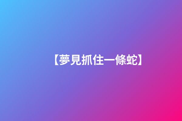 【夢見抓住一條蛇】
