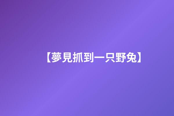 【夢見抓到一只野兔】