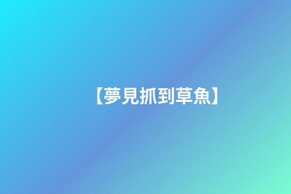 【夢見抓到草魚】