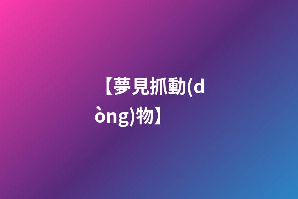 【夢見抓動(dòng)物】