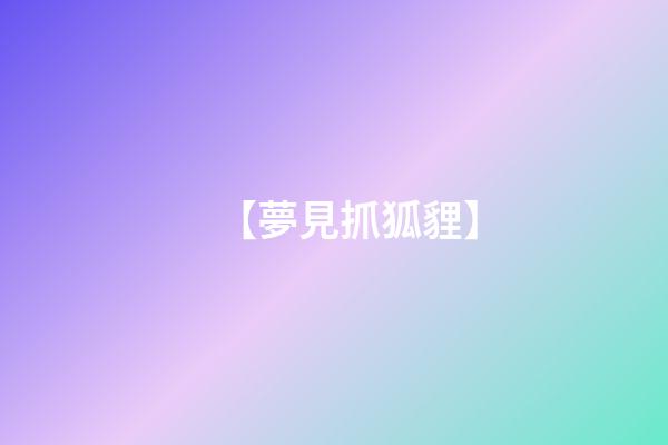 【夢見抓狐貍】