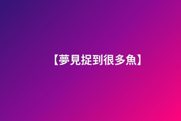 【夢見捉到很多魚】