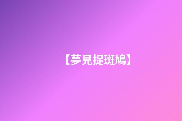 【夢見捉斑鳩】