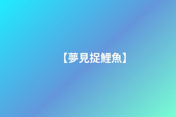 【夢見捉鯉魚】