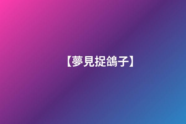 【夢見捉鴿子】