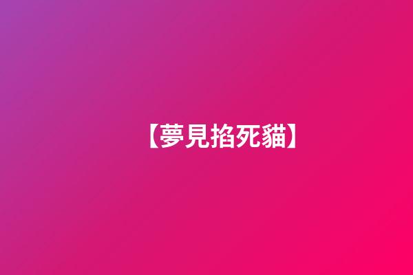 【夢見掐死貓】