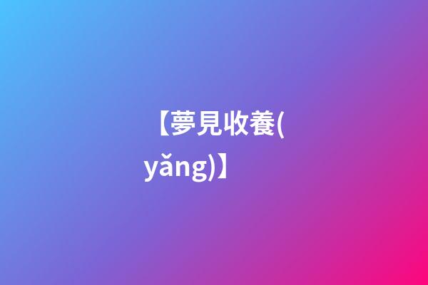 【夢見收養(yǎng)】