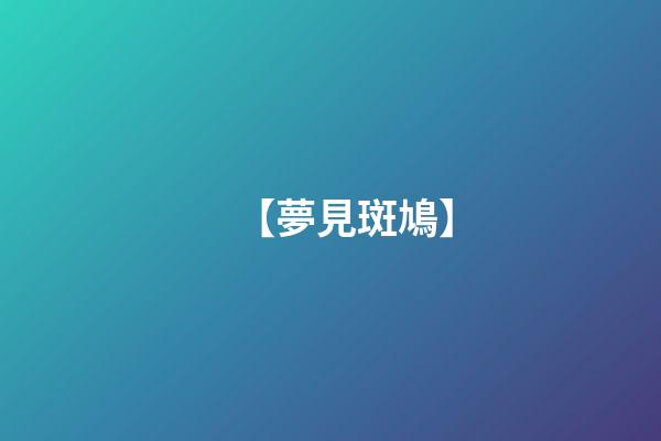 【夢見斑鳩】