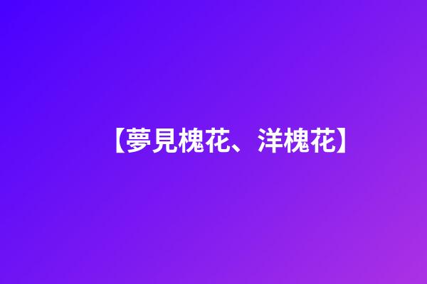 【夢見槐花、洋槐花】