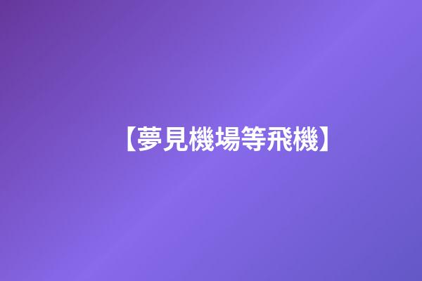 【夢見機場等飛機】