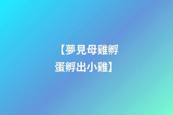 【夢見母雞孵蛋孵出小雞】