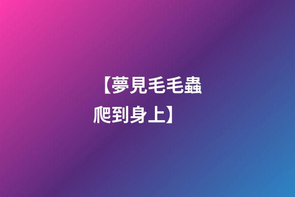【夢見毛毛蟲爬到身上】