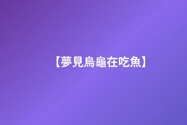 【夢見烏龜在吃魚】